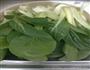 海米油菜的做法图解1