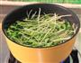 炝拌黑豆苗的做法图解2
