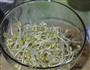 笨豆芽的做法图解1