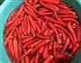 湘味剁辣椒  超辣型的做法图解2