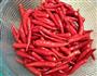 湘味剁辣椒  超辣型的做法图解5