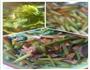 芹菜香干炒肉的做法图解3