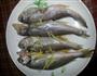 清蒸小黄鱼的做法图解1