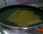 lasagne 意大利千层面的做法图解4