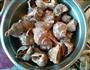 煮海螺的做法图解1
