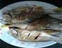清蒸海鱼的做法图解2