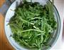 酱茼蒿的做法图解1