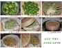 粉蒸芹菜叶的做法图解1