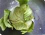 虾干腊肉芥菜煲的做法图解1