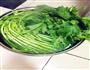 张家界水酸菜的做法图解4