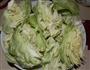酱爆圆白菜的做法图解1