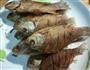 豆豉鲫鱼的做法图解3