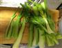 熏干炒西芹的做法图解2