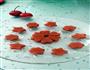 山楂糕的做法图解8