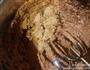 摩卡果仁甜饼的做法图解3
