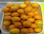 蜜渍金桔的做法图解1