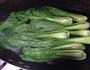 香菇菜心的做法步骤2