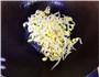韭菜炒豆芽的做法图解3
