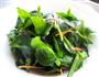爽口穿心莲-会呼吸的菜的做法图解2