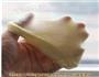 午餐肉芝士面包的做法图解3