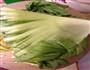 自制水漉菜的做法图解1