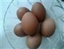 茶叶蛋的做法步骤6