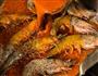 红火香辣烤大虾的做法图解3