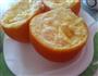香橙炖蛋的做法图解4