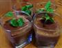 巧克力慕斯盆栽的做法图解1