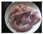 节日餐桌上的汤水-猪肚煲鸡汤的做法步骤1