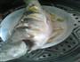 清蒸鲈鱼的做法图解3