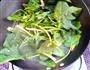 凉拌菠菜的做法图解1