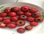 雪红果的做法图解1