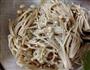 凉拌金针菇的做法步骤4