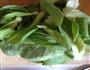 灵芝菇油菜的做法图解1