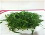 蒸面条菜的做法图解1