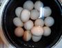 茶叶蛋的做法图解4