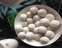 汤圆的做法图解15
