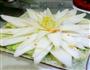 莲花白菜的做法图解5