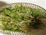 花生酱拌苦菊的做法图解4