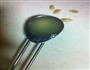 自制马斯卡朋奶酪的做法图解3