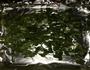 烤箱版蒜香金针菇的做法图解1