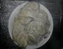荠菜水饺的做法图解7