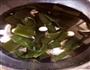 海带汤的做法图解4