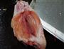 藏刀烤翅的做法图解3