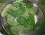 凉拌薄荷豆腐的做法图解2