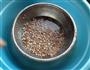 红米薏米饭的做法步骤3