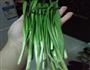 牛蒡肉丝炒韭菜的做法图解4