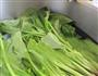珍选捞汁菠菜的做法图解4