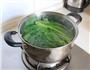 珍选捞汁菠菜的做法图解5